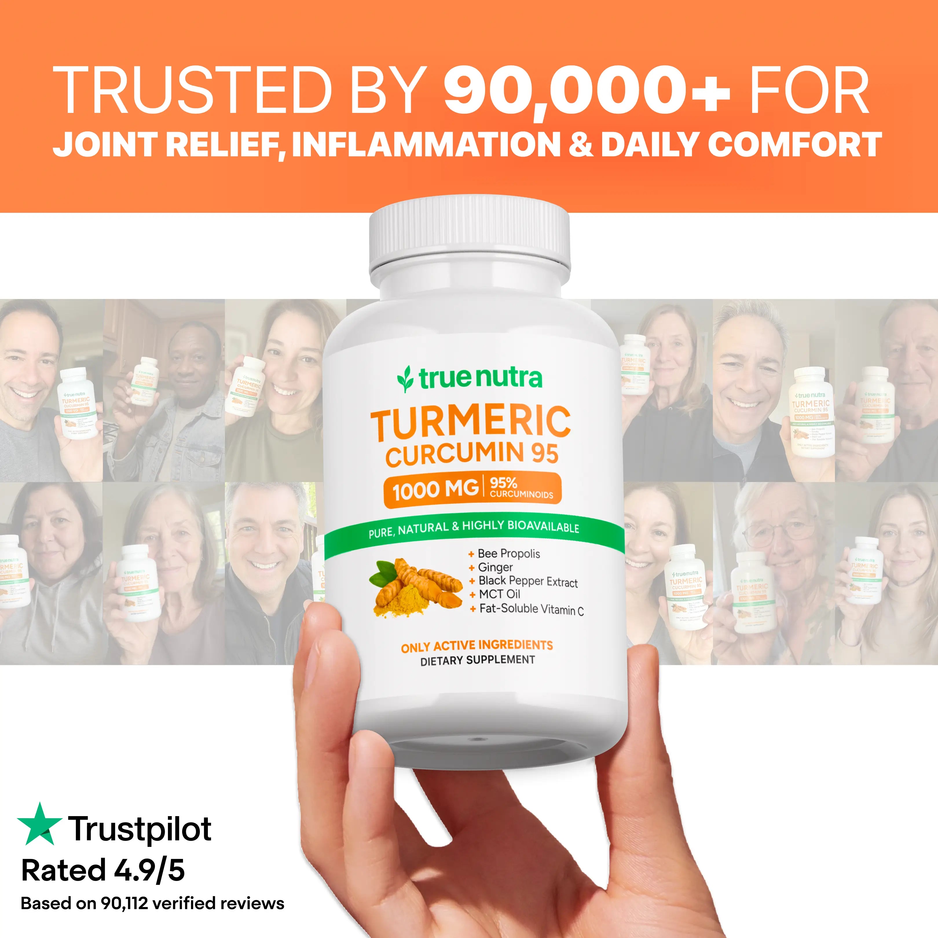 Turmeric Curcumin 95